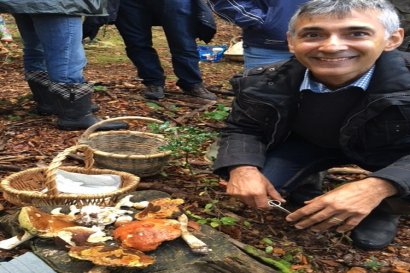 Chanterelle Forage Sunday 26th November 2023 Fully Booked